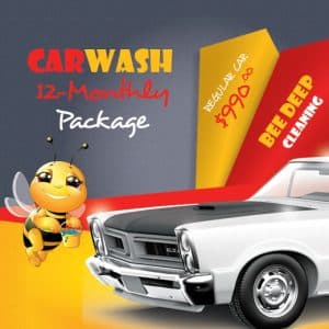 12 Monthly Plan Car Wash Detailing Package Regular Car